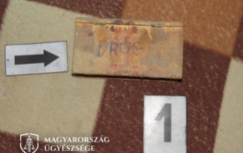 Drogot és lőfegyvert találtak egy somogyi párnál