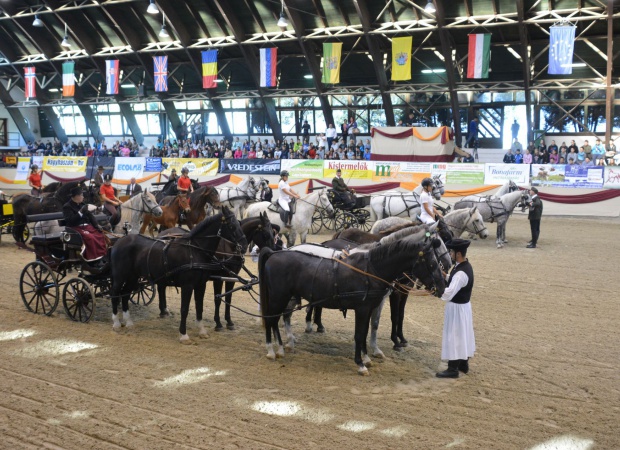 Megnyitott a jubileumi KÁN