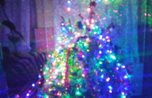 Horváth Adrienn karácsonyfája