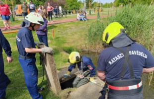 Kiskacsákat mentettek a kaposvári tűzoltók