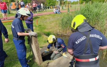 Kiskacsákat mentettek a kaposvári tűzoltók