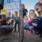 Petőfi Sándor Központi Óvoda