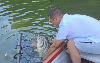 Nem semmi halat fogtak ki a Desedából