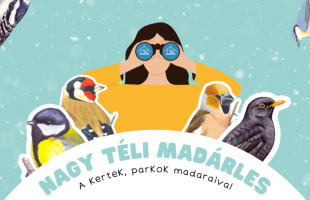 Ismét madárszámlálás indul a lakosság bevonásával