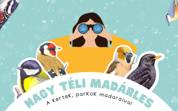Ismét madárszámlálás indul a lakosság bevonásával