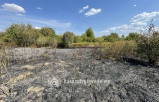 Lángra kapott az aljnövényzet Somogysárdon