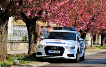 Jogsi nélkül vezettek, őrizetbe kerültek