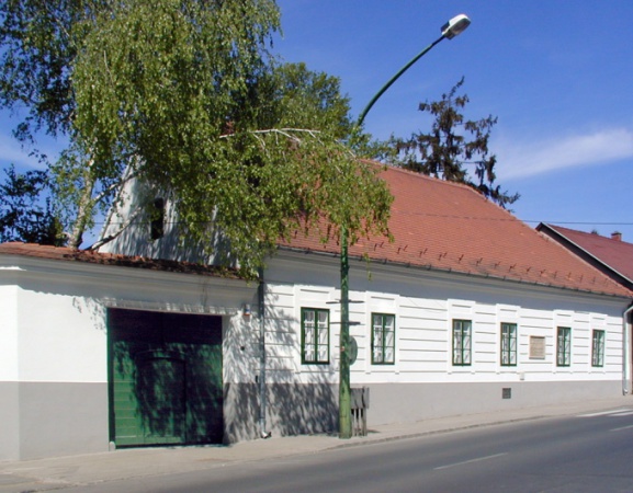 A bíboros kaposvári rokonai