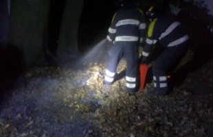 Lángra kapott a növényzet a Cseri út mentén