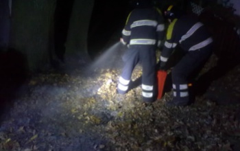 Lángra kapott a növényzet a Cseri út mentén