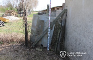 Felfüggesztett fogházbüntetést kaphat a férfi, akinek a kutyái megöltek egy idős asszonyt