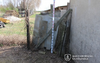 Felfüggesztett fogházbüntetést kaphat a férfi, akinek a kutyái megöltek egy idős asszonyt