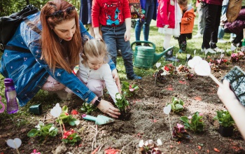 Holnap lesz az anyák napi virágültetés Kaposváron
