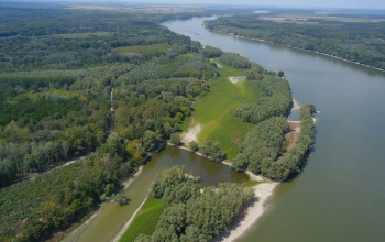Vissza a természethez - Vad sziget helyreállítást valósítanak meg a Dunán