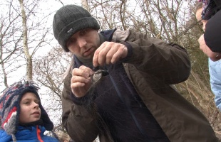 Madarakat gyűrűztek a látogatóközpontnál