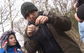 Madarakat gyűrűztek a látogatóközpontnál