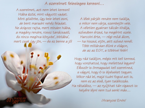 Április 11. - a magyar költészet napja