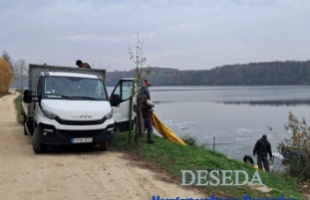 Haltelepítés a Desedán – pontyok érkeznek a tóba