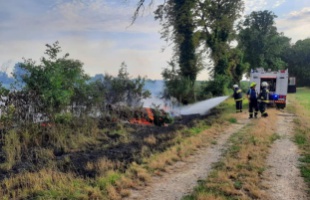 Szabadtéri tűzhöz riasztották a marcali és a szőkedencsi tűzoltókat
