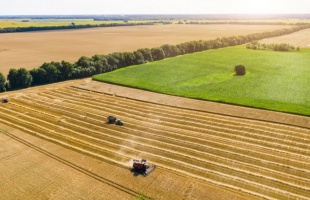 Miért fontos az agroökológia? Lehet, hogy ez az utolsó reményünk a túlélésre