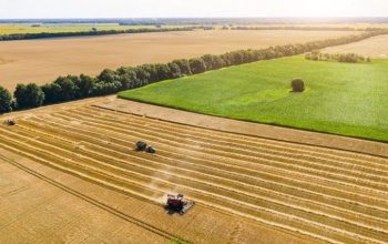 Miért fontos az agroökológia? Lehet, hogy ez az utolsó reményünk a túlélésre