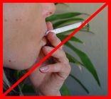 Cigistop: kevesebb a szabálytalanság