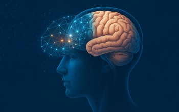 Így lát az agyunk, és így tanulhatnak tőle a jövő mesterséges intelligenciái