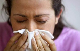 A kora tavaszi allergén növények már szórják pollenjeiket