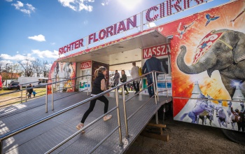Súlyos baleset a Richter Flórián Cirkuszban