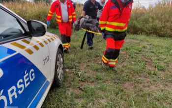 Az időben érkezett segítség mentette meg a kihűlt idős férfi életét