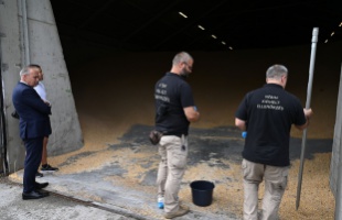 Szigorúan ellenőrzi a magyar hatóság az ukrán gabonát