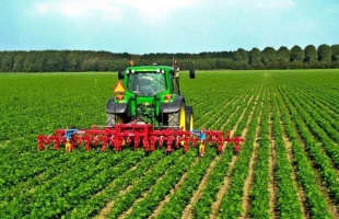 Többéves fejlesztési programot hirdetett küldöttgyűlésén a Nemzeti Agrárgazdasági Kamara