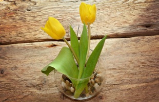 Fényképkeret, váza, gyertyatartó - 5 időtálló  dísztárgy az otthonodba