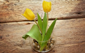 Fényképkeret, váza, gyertyatartó - 5 időtálló  dísztárgy az otthonodba