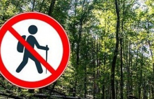 Erdőlátogatási korlátozás a SEFAG Zrt. által vagyonkezelt területeken