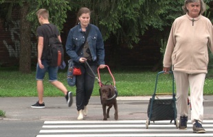 Gombnyomásra hangos forgalomirányítás