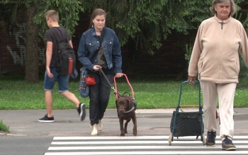 Gombnyomásra hangos forgalomirányítás