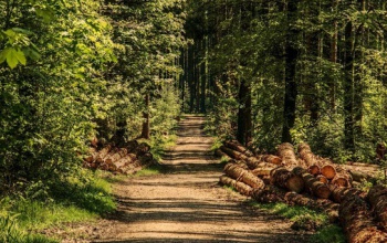 Agrárminisztérium: 