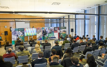 Pintér Rómeó: Mindent a kaposvári családokért!