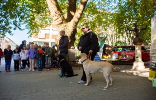 Érzékenyítő programokkal mutatták meg, milyen a vakok élete