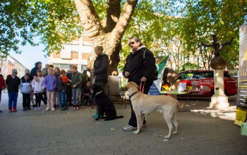 Érzékenyítő programokkal mutatták meg, milyen a vakok élete
