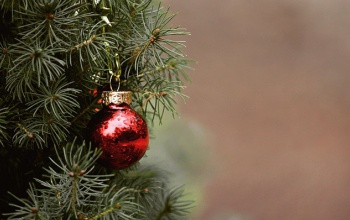 Közös adventi gyertyagyújtás lesz vasárnap a Léva utca és a Léva köz sarkán