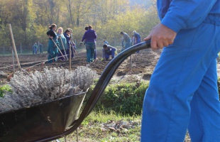 Plusz 400 millió forint négy kaposvári cél eléréséhez