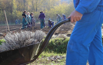 Plusz 400 millió forint négy kaposvári cél eléréséhez
