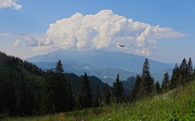 Tedd azt, amiben szárnyalsz!