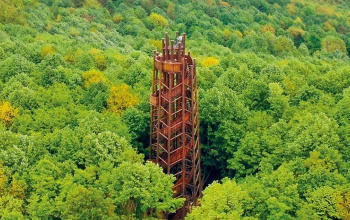 A Zselici Csillagpark kilátójára is lehet szavazni az Év Kilátója versenyben