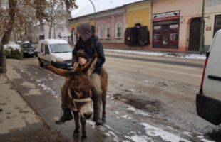 Szamárral a Fő utcán