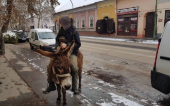 Szamárral a Fő utcán