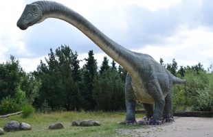 Új dinoszaurusz maradványaira bukkantak
