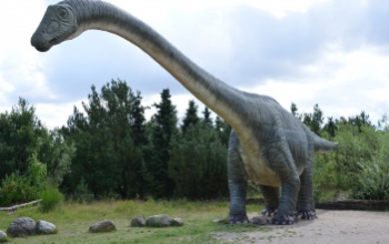 Új dinoszaurusz maradványaira bukkantak